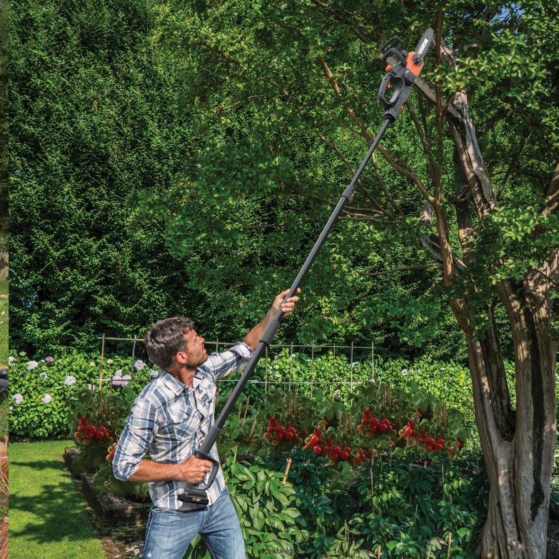 WORX tuingereedschap 20V Power Share 10'' draadloze stok-/kettingzaag met automatische spanning HT8D6N83