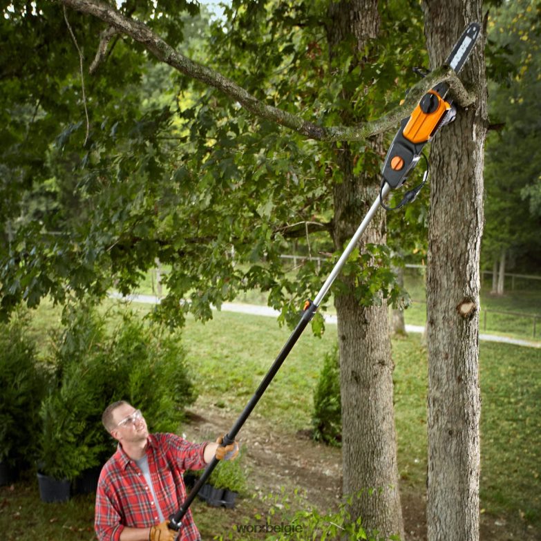 WORX tuingereedschap 8 ampère elektrische 10'' stokzaag HT8D6N85