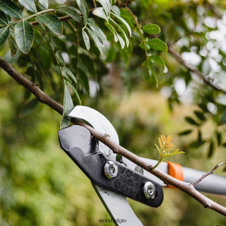 WORX tuingereedschap 21,5'' bypass-takkenschaar HT8D6N52